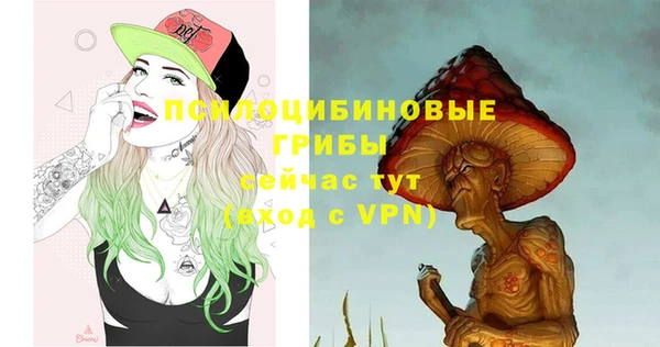 mix Белокуриха