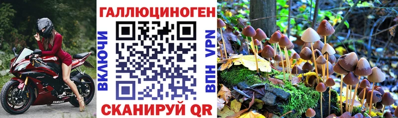 Галлюциногенные грибы GOLDEN TEACHER  Нестеров 